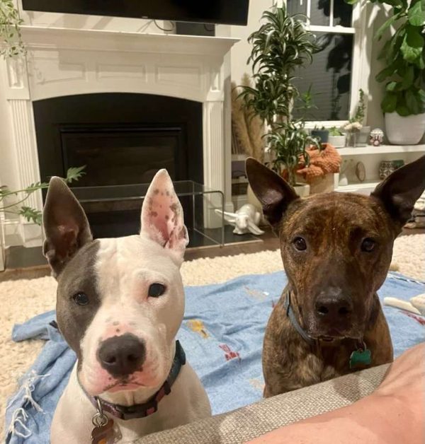 Pinky and Friend