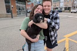 Orion adopted