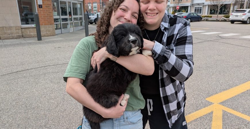 Orion adopted