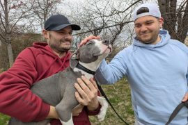 Van Gogh adopted