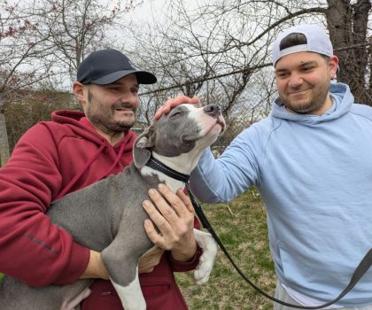 Van Gogh adopted