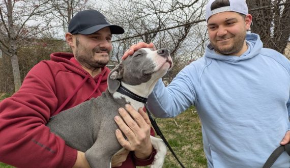 Van Gogh adopted