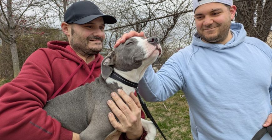Van Gogh adopted