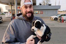 Atlas adopted