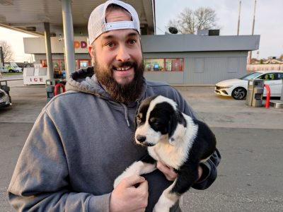 Atlas adopted