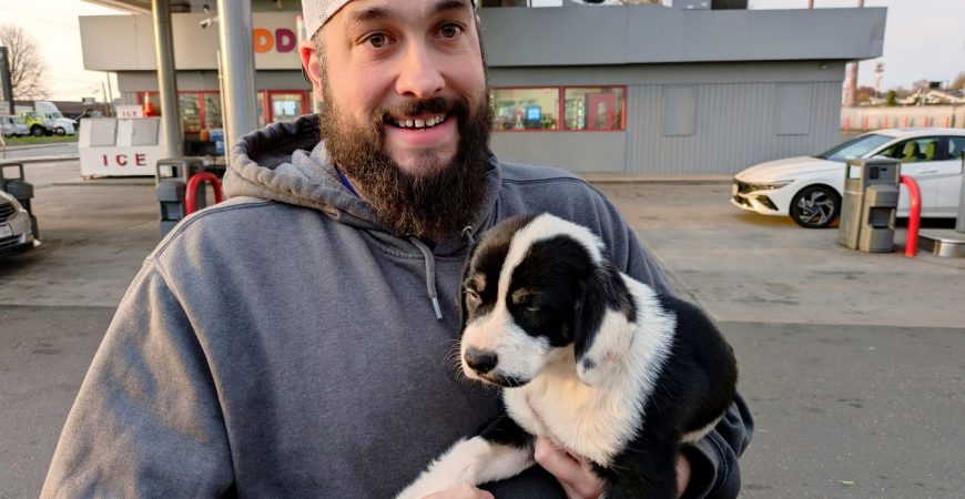Atlas adopted