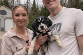 Aurora adopted