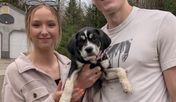 Aurora adopted