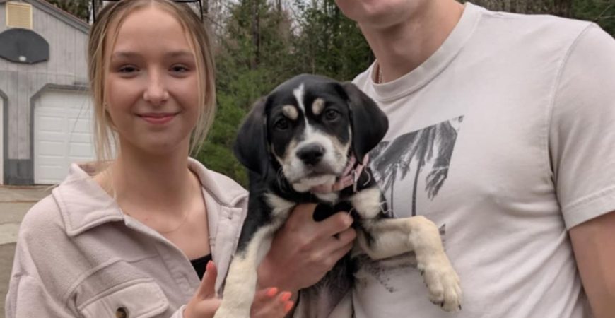 Aurora adopted