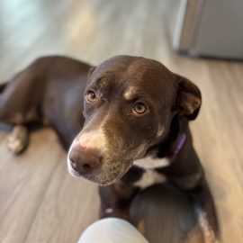Ellie