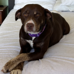 Ellie