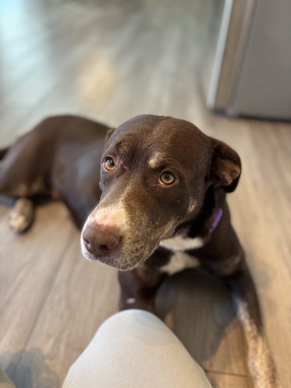 Ellie