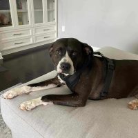 Tinkerbell summer 2025