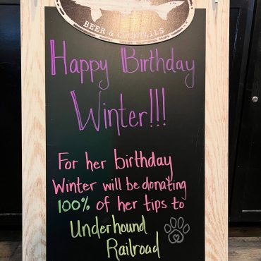 Winter Page's fundraiser in 2025